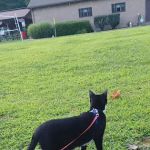 Onawandah Private Campground