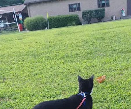 Onawandah Private Campground