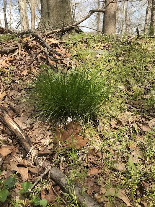 Camp Lackawanna Picture 5