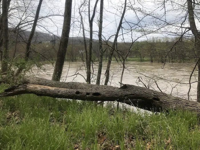 Camp Lackawanna Picture 10