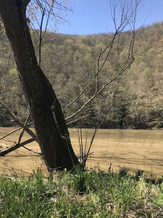 Camp Lackawanna Picture 7