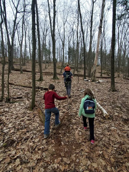 Frances Slocum State Park Campground Picture 4
