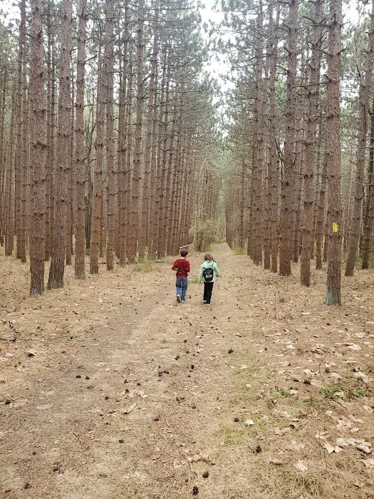 Frances Slocum State Park Campground Picture 2