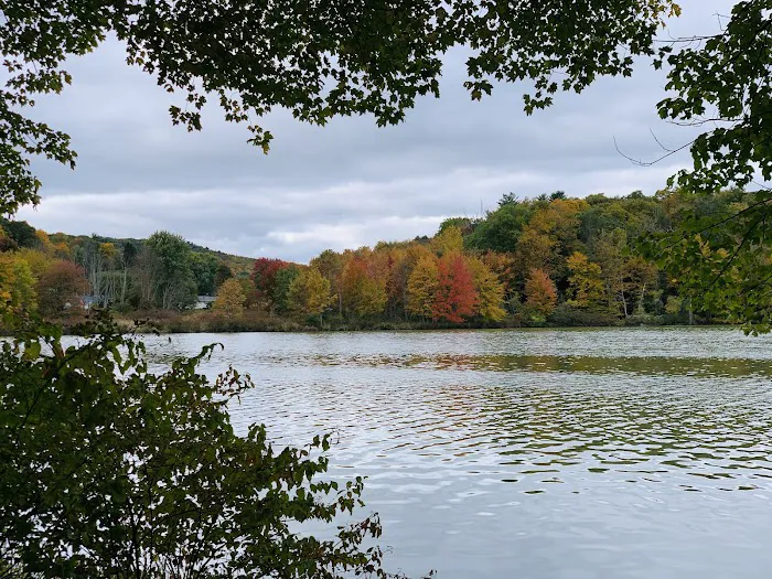 Frances Slocum State Park Campground Picture 7