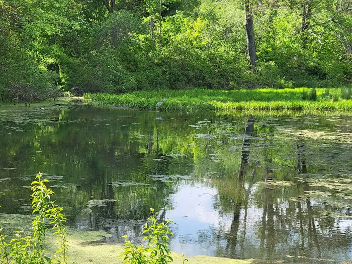 Frances Slocum State Park Campground Picture 9
