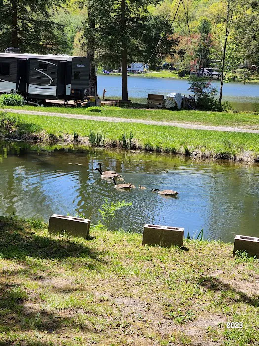 Forest Lake Campground Picture 4