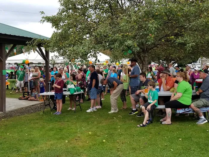 Kellystone Park Campground Picture 8