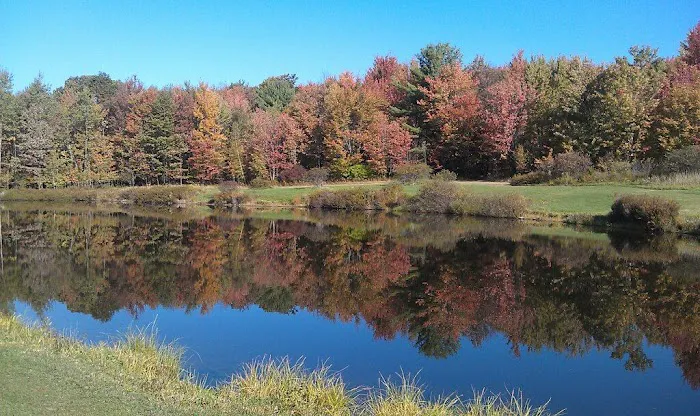 Kellystone Park Campground Picture 5