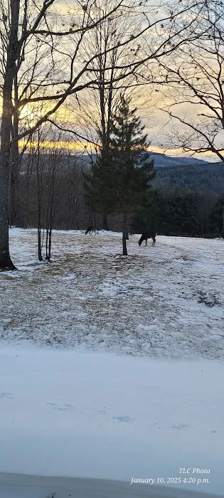 The Hills at Windsor Picture 7