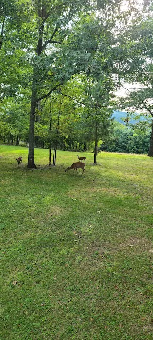 The Hills at Windsor Picture 8