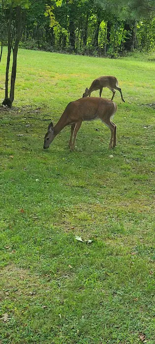 The Hills at Windsor Picture 3