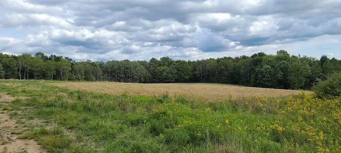 The Hills at Windsor Picture 6