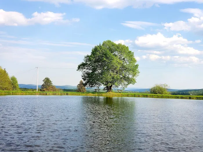 Belden Hill Campground Picture 3