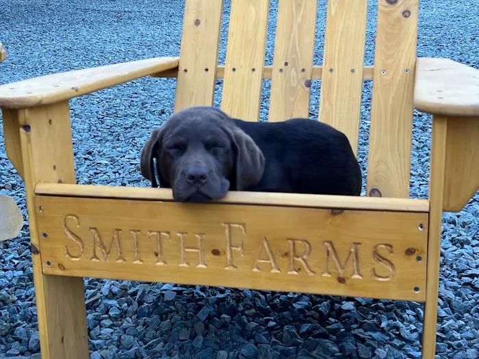 Smith Farms 2 Picture 4