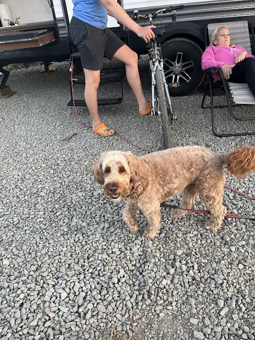 Skyridge Trails Campground Picture 3