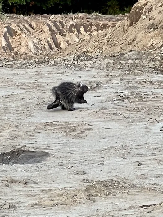 Skyridge Trails Campground Picture 9