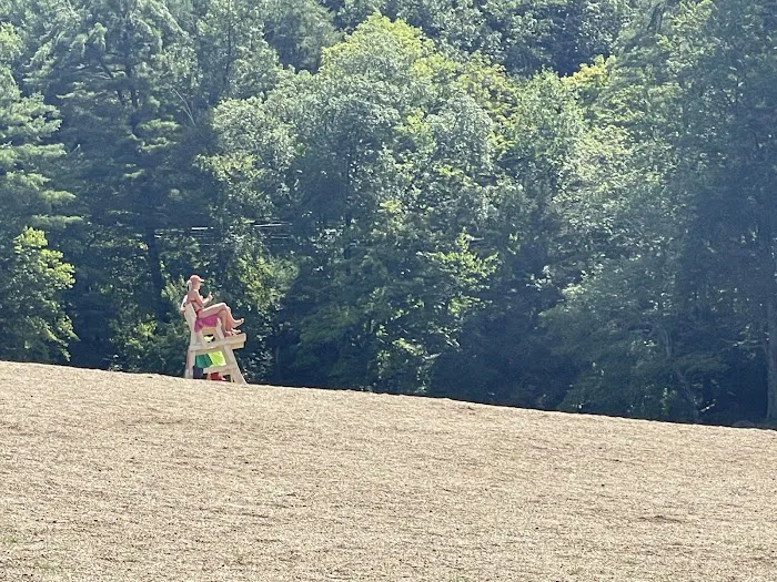 Black Rock State Park Campground Picture 3