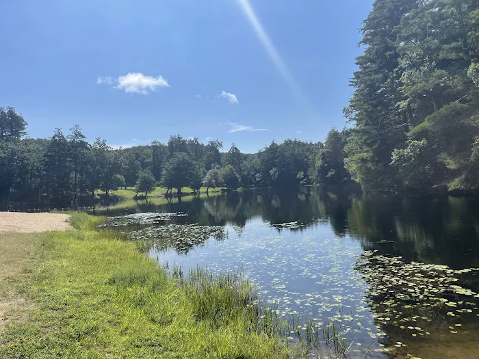 Black Rock State Park Campground Picture 4