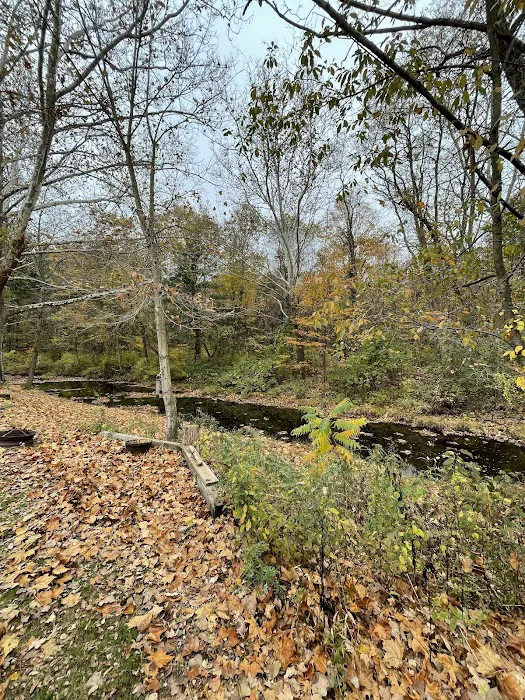 Branch Brook Campground Picture 7