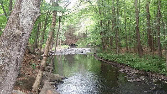 Branch Brook Campground Picture 6