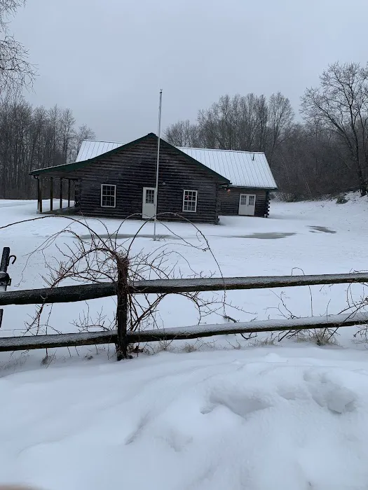 Lion’s Cabin Picture 5