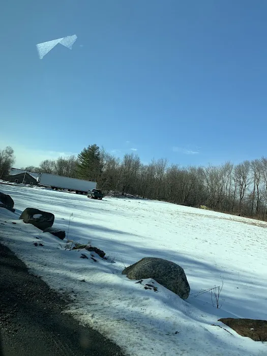 Lion’s Cabin Picture 8