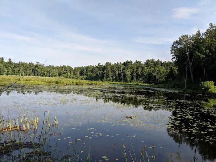 Ukrainian Campground Picture 1