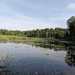 Ukrainian Campground