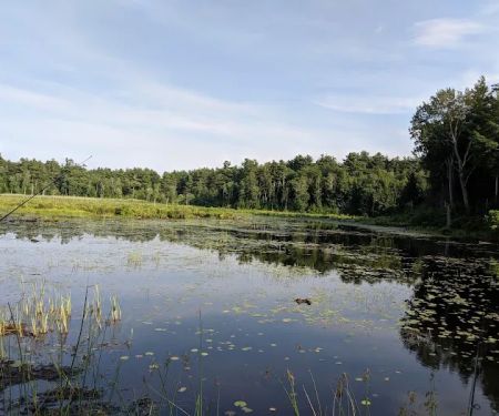 Ukrainian Campground