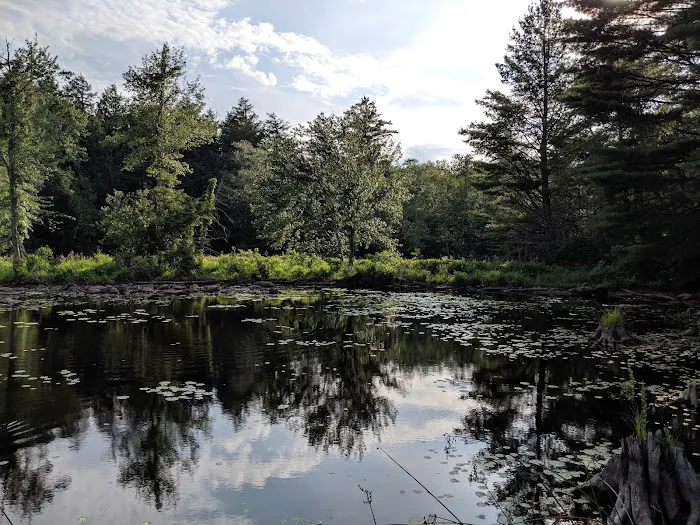 Ukrainian Campground Picture 3