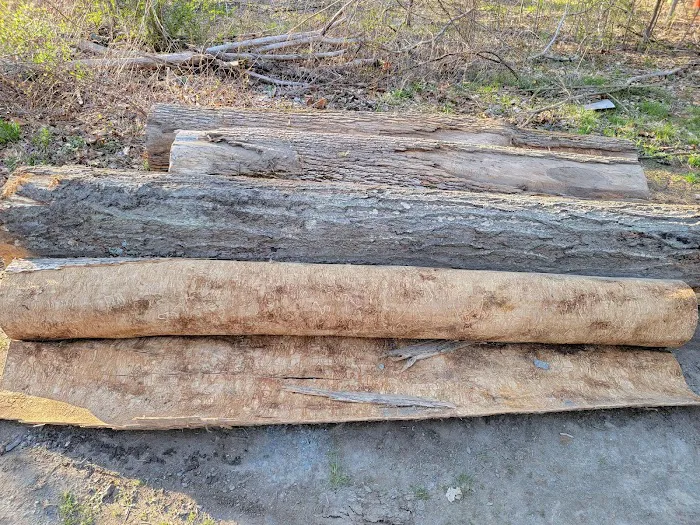 Kinyon's Canyon Campsites Picture 8