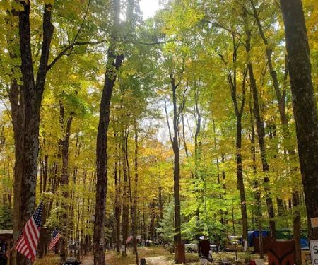 Kinyon's Canyon Campsites