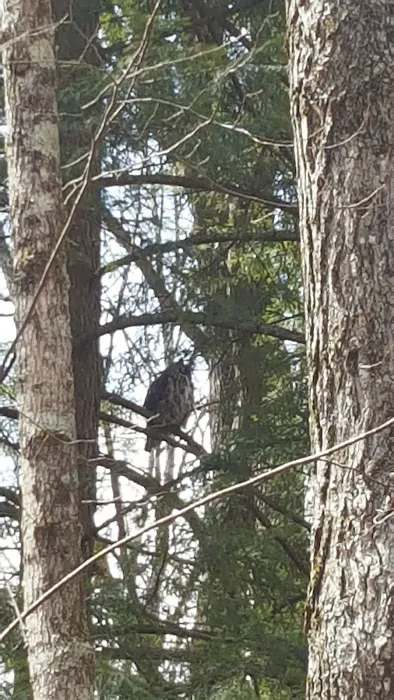 Kinyon's Canyon Campsites Picture 2