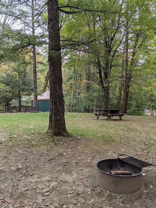 October Mountain State Forest Campground Picture 8