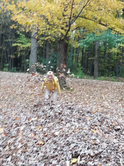 October Mountain State Forest Campground Picture 7