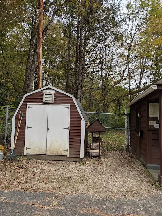 October Mountain State Forest Campground Picture 2