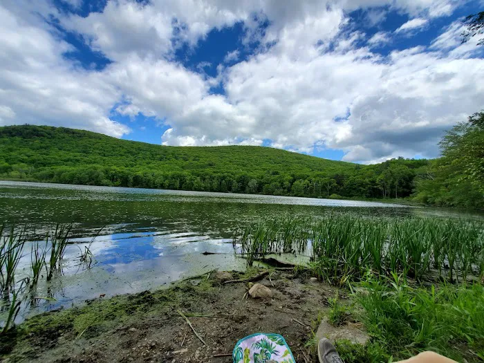 October Mountain State Forest Campground Picture 6