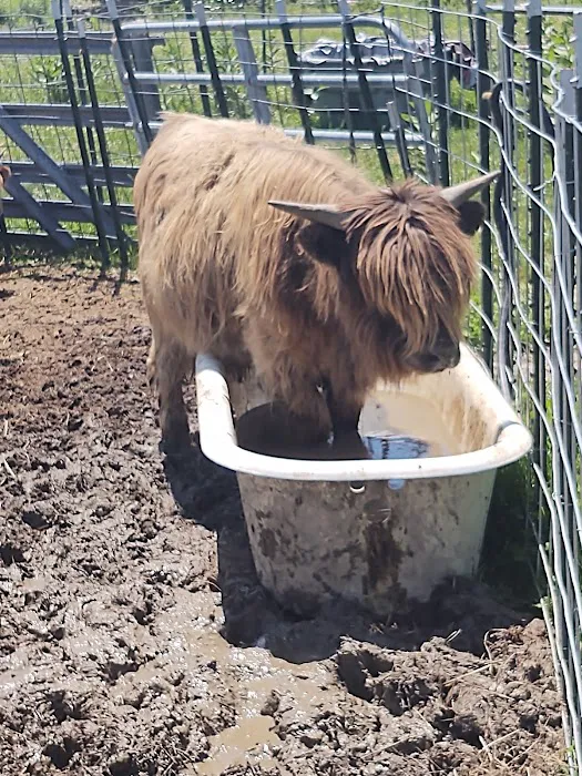 Wyomanock Farm Camping Picture 5