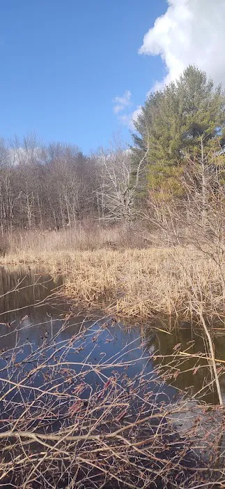 Wyomanock Farm Camping Picture 4