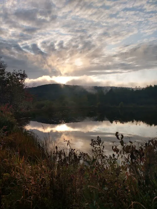 Wyomanock Farm Camping Picture 1
