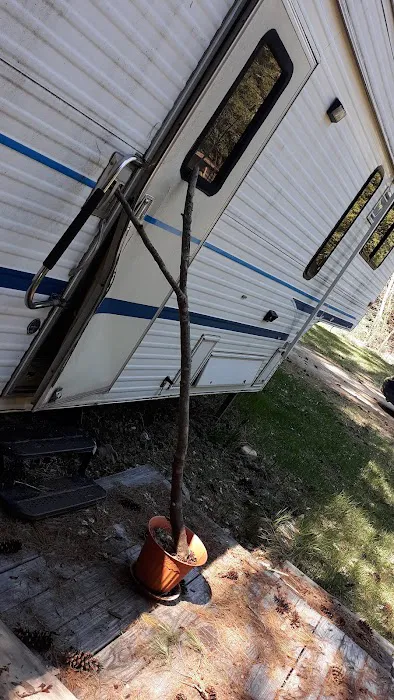 Mountain View Campground Picture 7