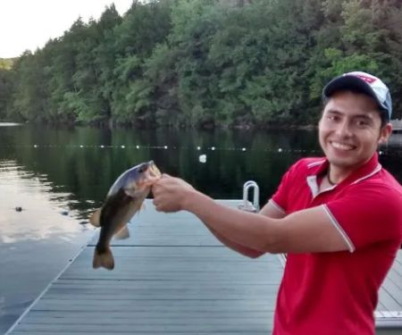 Mountain View Campground