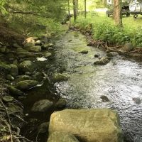 Bonny Rigg Camping Club Inc ico
