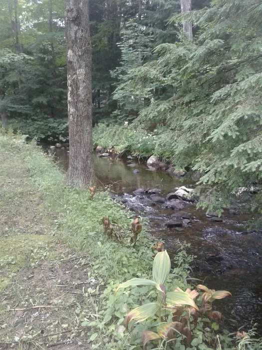Bonny Rigg Camping Club Inc Picture 9