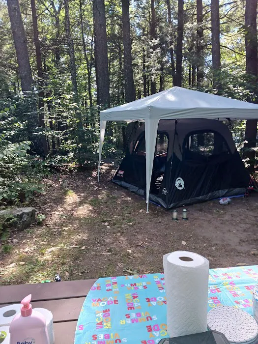 Tolland State Forest Campground Picture 1