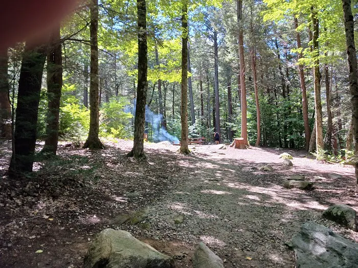 Tolland State Forest Campground Picture 2