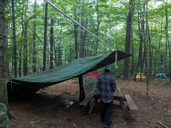 Tolland State Forest Campground Picture 10