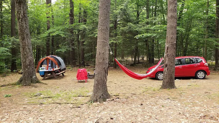 Tolland State Forest Campground Picture 9