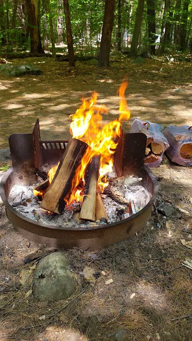 Tolland State Forest Campground Picture 5