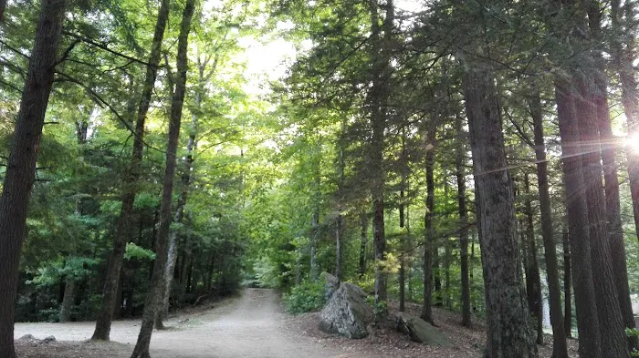 Tolland State Forest Campground Picture 7